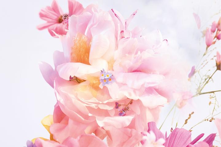 Immagine prodotto Dior Blooming Bouquet (Eau de toilette, 50 ml)
