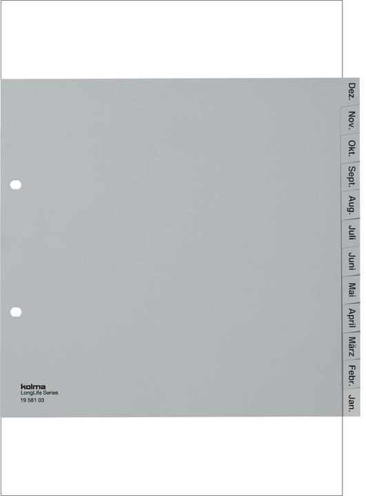 Immagine prodotto Kolma Indice A4 parzialmente opaco Dic-Gen (it) 12 pezzi grigio