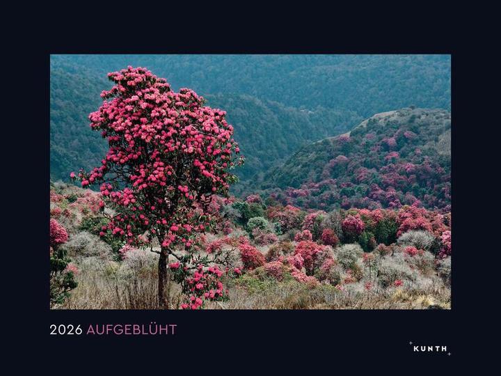 Produktbild Aufgeblüht - Wandkalender 2026 (60 x 45 cm, Harter Einband, Deutsch)