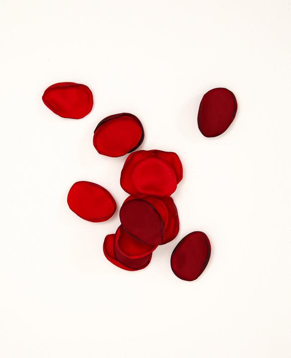 Produktbild Esmée Rosenblätter aus Seide
