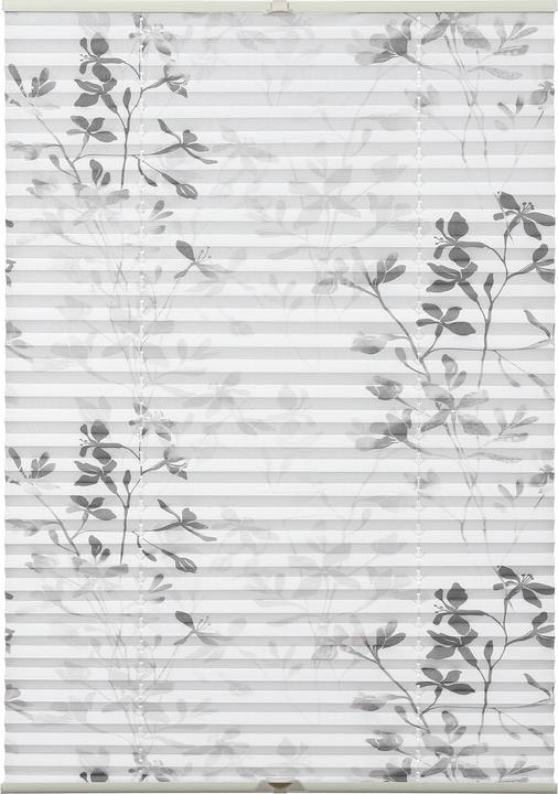 Actual product image Gardinia Bella (50 x 130 cm)