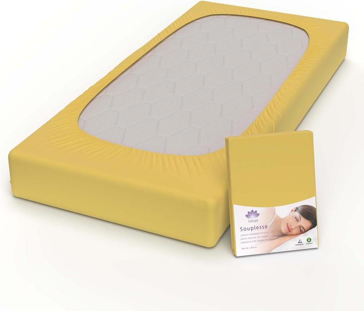 Produktbild Lotus Bettwaren Jersey Fixleintuch Souplesse (200 x 220 cm)