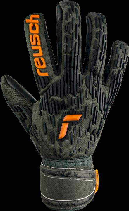 Image du produit Reusch Attrakt Freegel Silver (10)