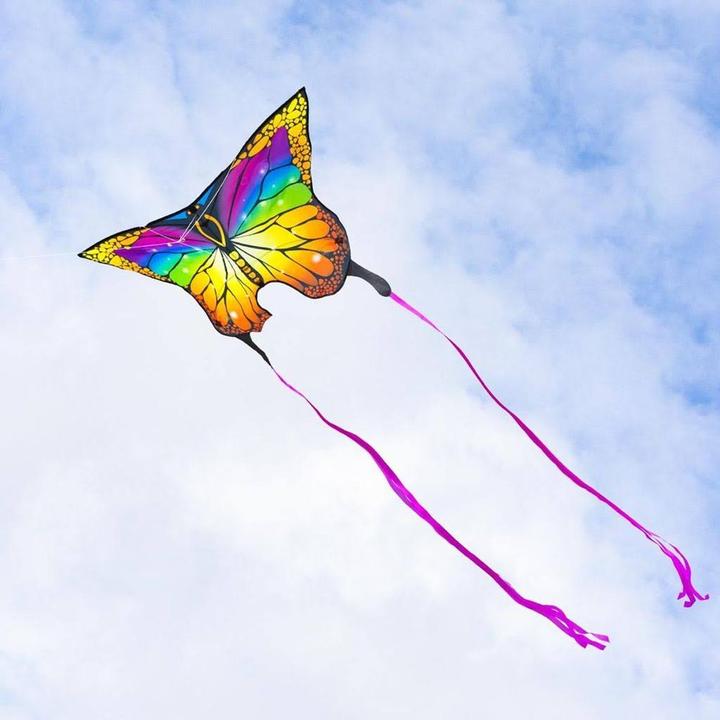 Image du produit Invento Butterfly Kite Rainbow