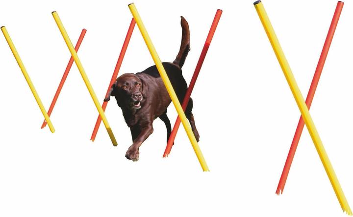 Image du produit Kerbl Kit complet (Taille unique, Agility)