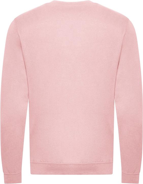 Image du produit Awdis Sweat-shirt issu de l'agriculture biologique (XXL)