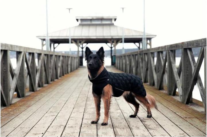 Produktbild Rukka Flow (25, Hundemantel)