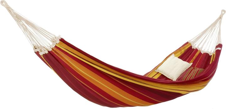 Image du produit Amazonas Gigante (280 kg)