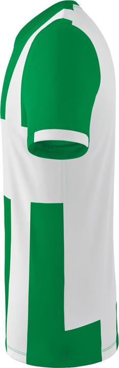 Image du produit Erima Maillot Siena 3.0 (M)