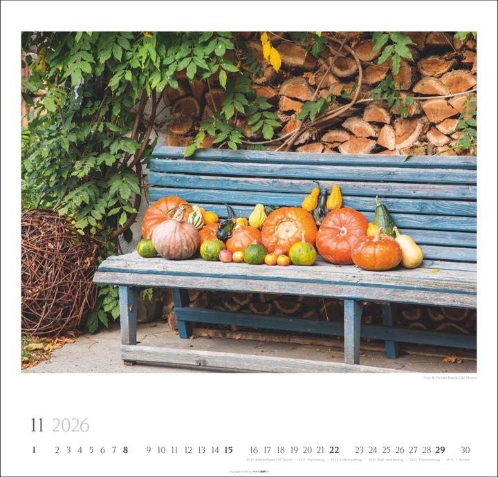 Actual product image Bauerngärten Kalender 2026 (48 x 46 cm, English, German)