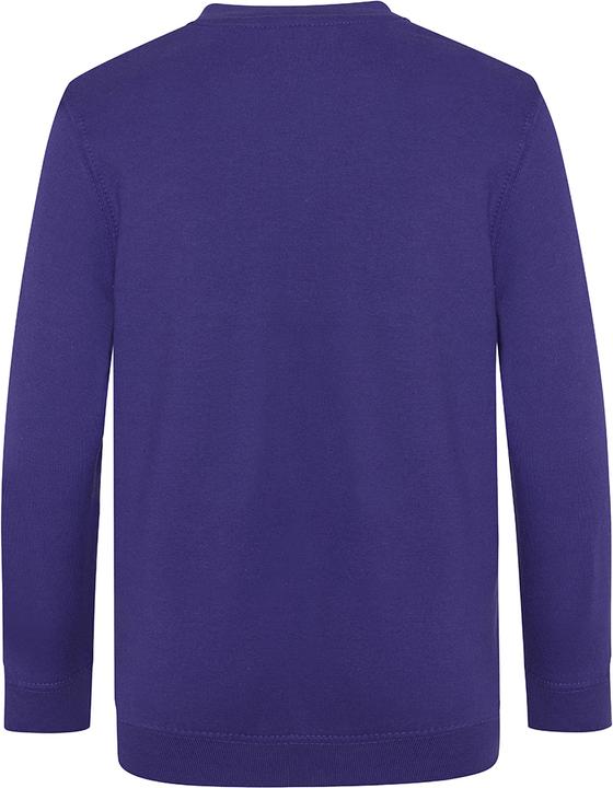 Produktbild Awdis Academy Junior Schul Sweatshirt mit VAusschnitt (164)