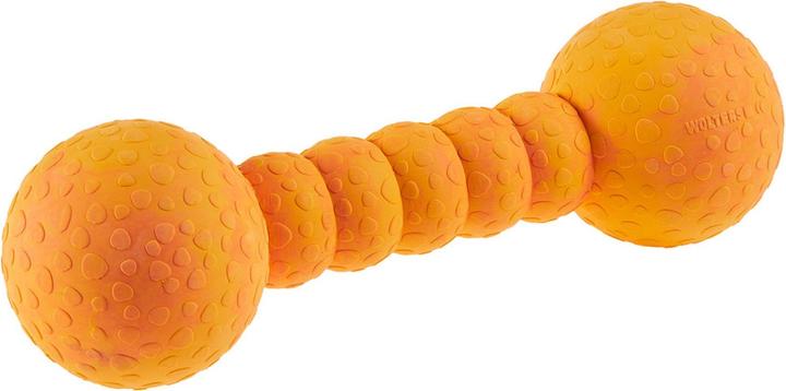 Wolters Hunde-Spielzeug Aqua-Fun Gym, 23 cm (Apportieren)
