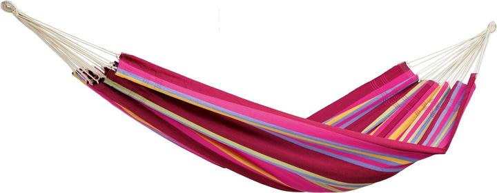 Actual product image Amazonas Barbados (200 kg)