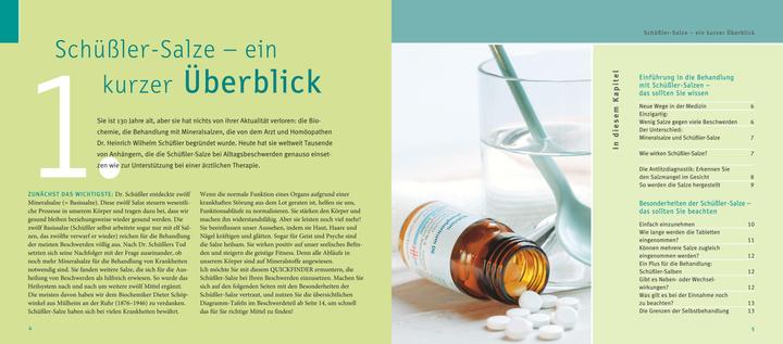 Immagine prodotto Schüssler-Salze, Quickfinder (Tedesco, Guenther H. Heepen, 2018)
