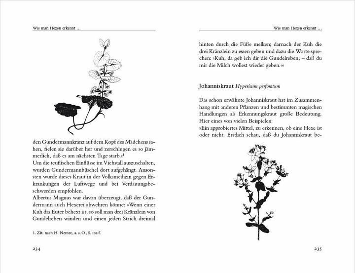 Produktbild Hexenkräuter. Alte Heilpflanzen und ihre Kräfte (Deutsch, Gerd Haerkötter, Marlene Haerkötter, 2023)