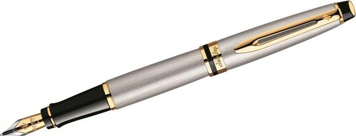 Actual product image Waterman Expert (Silver, Gold, 1 x)