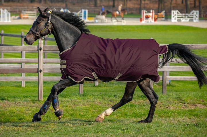 Produktbild Horseware Weidedecke Amigo Hero Ripstop 100g (140 cm)