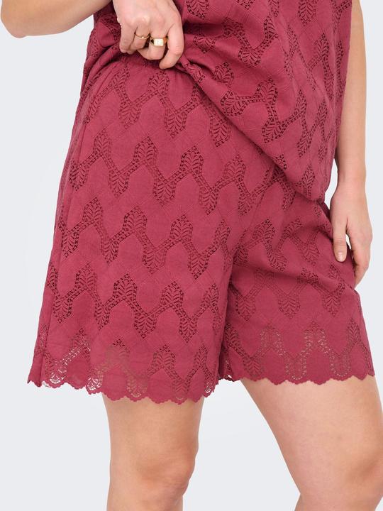 Actual product image Only CARCLEANOR Normal geschnitten Shorts Shorts (44)
