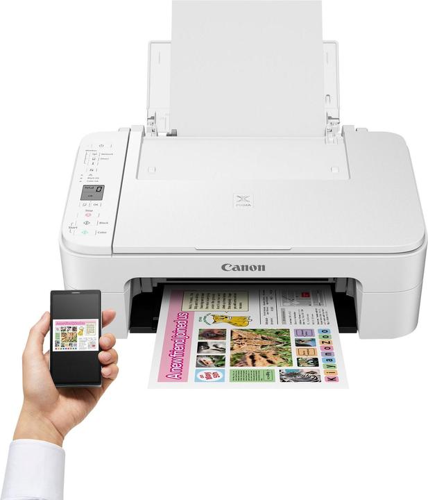 Actual product image Canon Pixma Ts3151 (Ink, Colour)