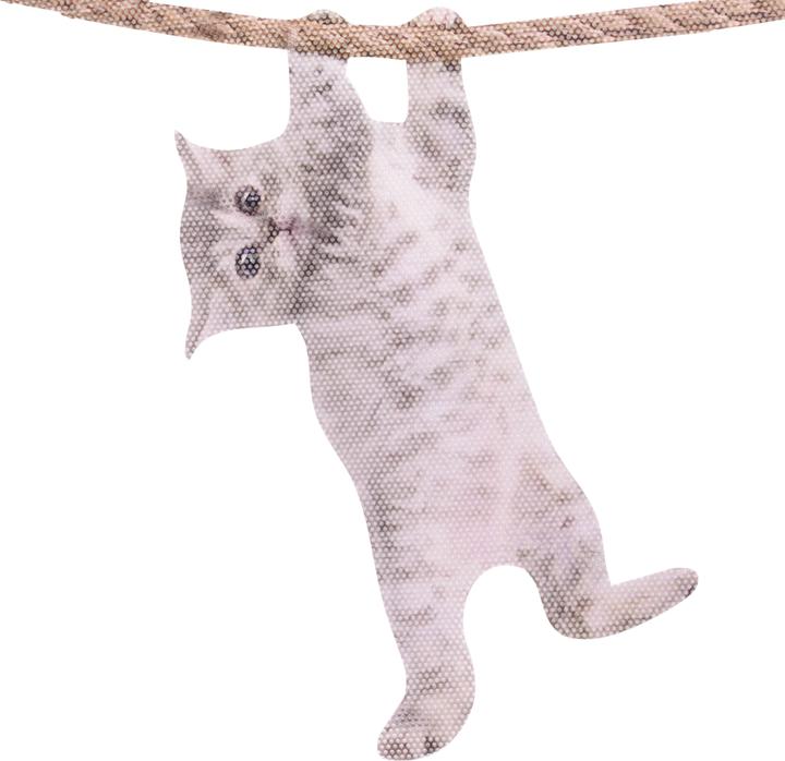 Image du produit Ride With Hanging Cat - Autocollant de fenêtre "Chat