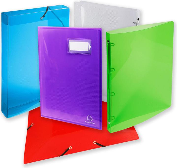 Actual product image Exacompta Display book (A4, 1 x)