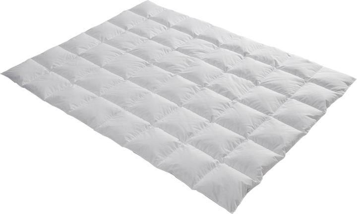 Billerbeck Edition Pino Kassette Daune (750 g, 160 x 210 cm)
