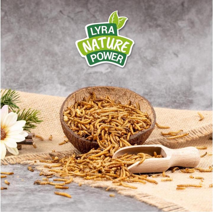 Produktbild Lyra Pet Mehlwürmer getrocknet (1 kg, 1 x)