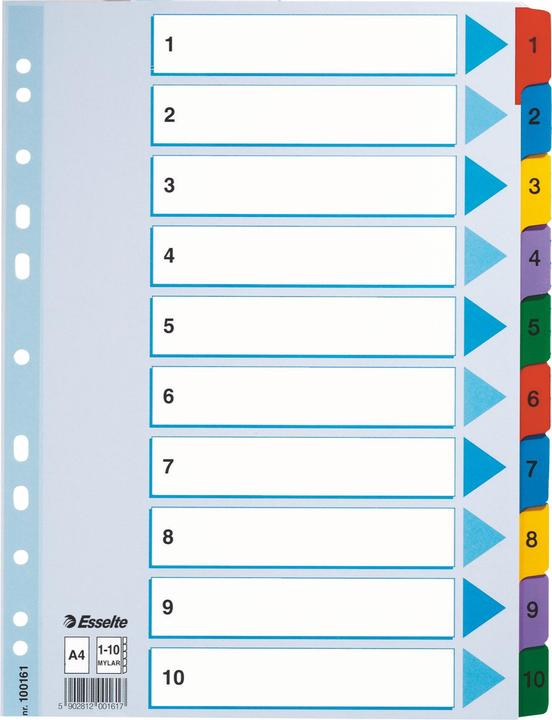 Immagine prodotto Esselte Cartone registro Mylar, vari disegni, singolo