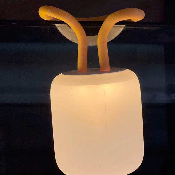 The Sunnyside Silikon-Laterne orange