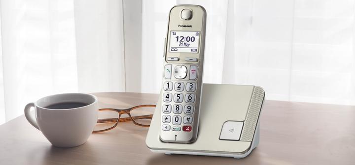 Actual product image Panasonic KX-TGE250GN Single champagne