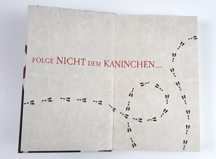 Produktbild Die Chroniken von Alice - Finsternis im Wunderland (Deutsch, Christina Henry, 2020)