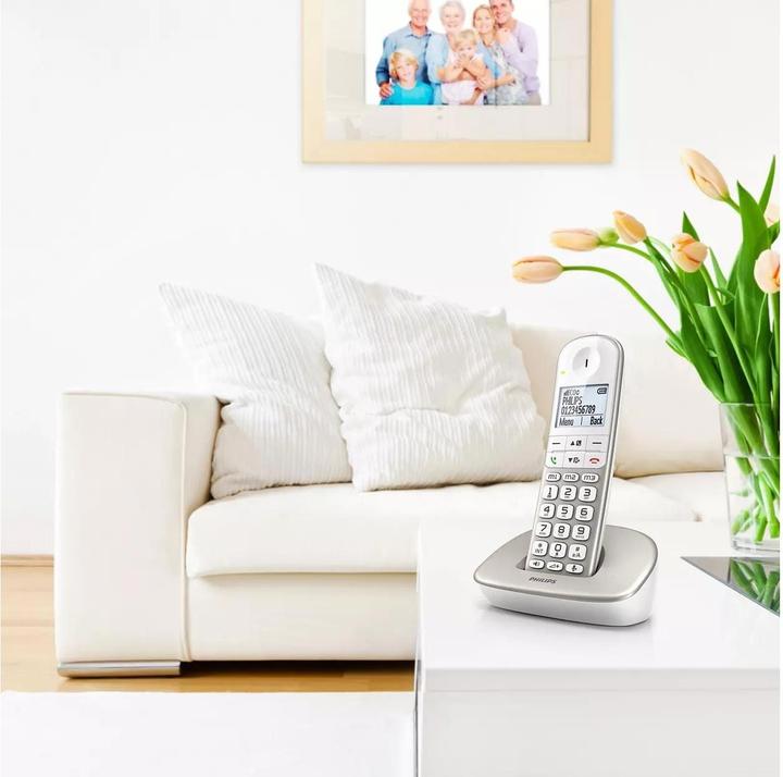 Immagine prodotto Philips XL4901S
