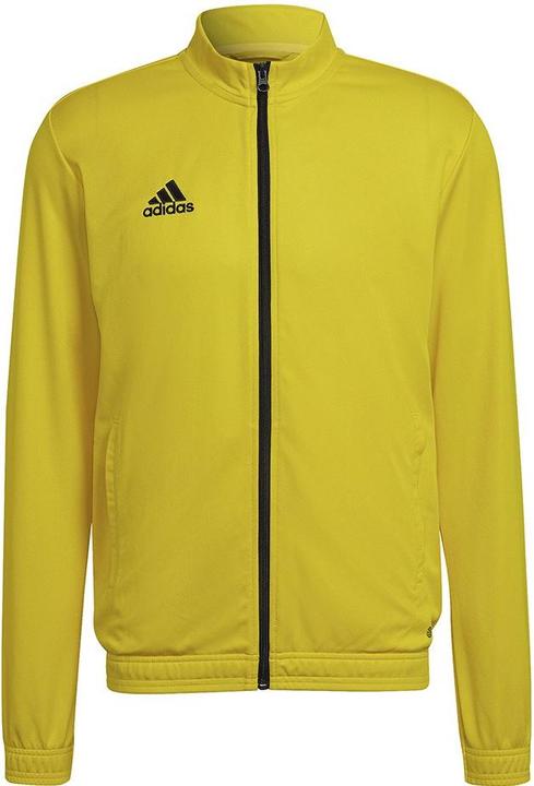 Actual product image adidas Entrada 22 men's training jacket (S)