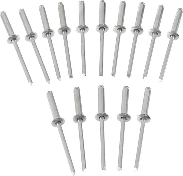 Actual product image Stanley Blind rivets