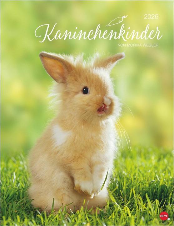 Produktbild Kaninchenkinder Posterkalender 2026 (34 x 44 cm, Harter Einband, Deutsch)