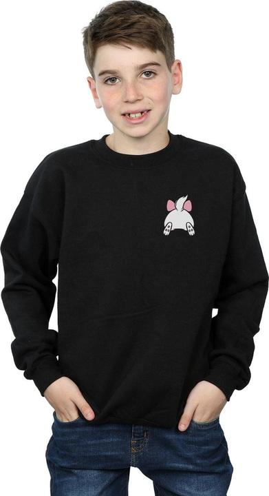 Actual product image Disney Boys Aristocats Marie Backside Breast Print Sweatshirt (128)