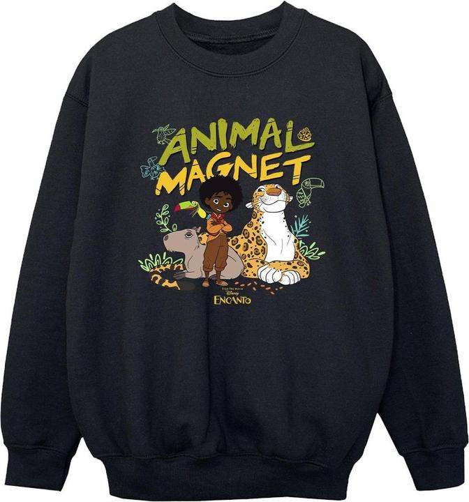 Image du produit Disney - Sweat ENCANTO ANIMAL MAGNET - Garçon (152, 158)