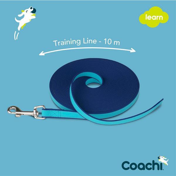 Actual product image Company of Animals Coachi waterproof drag line (Plush toy dog)
