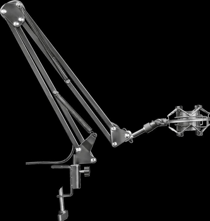 Actual product image Trust GXT 253 Emita Streaming microphone boom