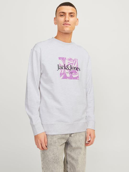 Actual product image Jack & Jones Printed sweatshirt with round neck Sweatshirt with round neck (S)