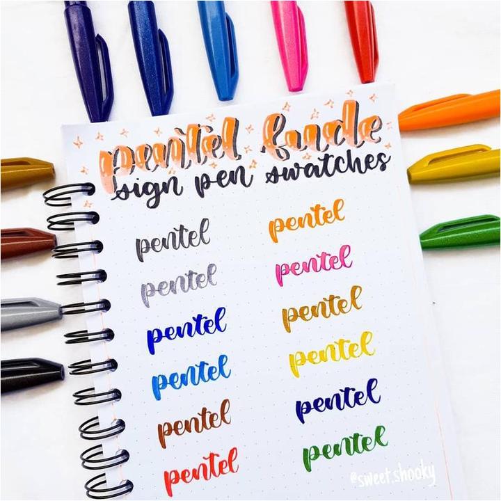 Produktbild Pentel Brush Sign Pen 12er (Pink, Rot, Blau, Violett, Grün, 12 x)