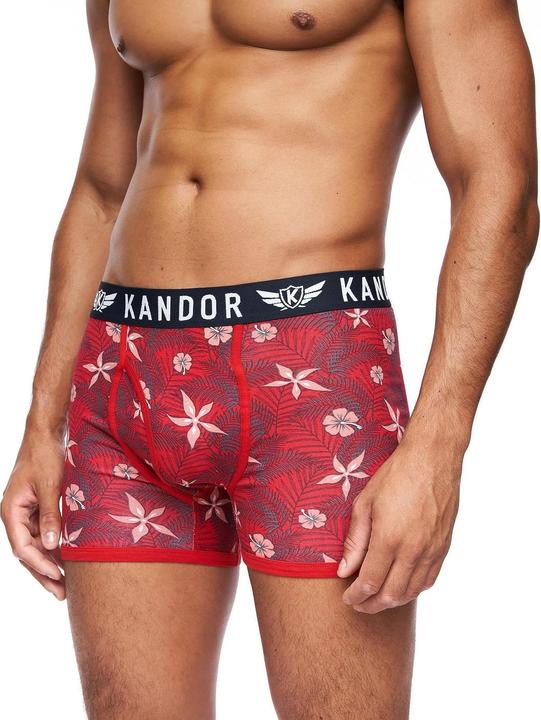 Image du produit Kandor - Boxers FLORID - Homme (S, paquet de 7)