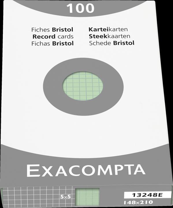 Exacompta Index cards (A4, 205 g/m², 100 x)