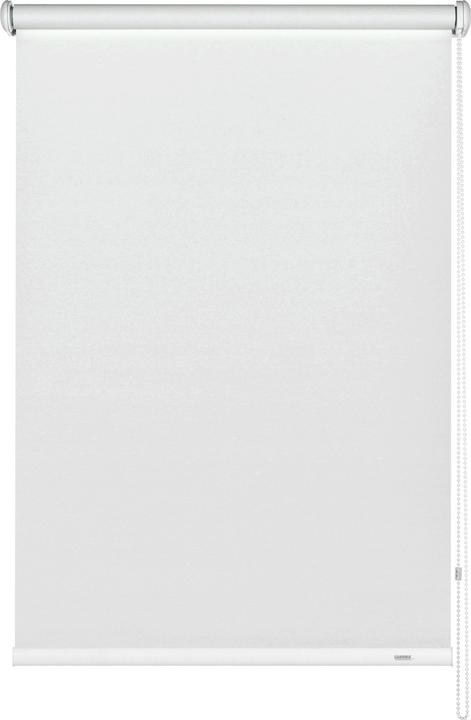 Actual product image Gardinia Side-pull roller blind (82 x 180 cm)
