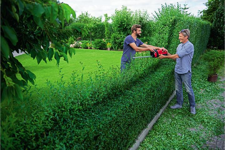 Immagine prodotto Wolf-Garten Lycos 40/500 H (Tagliasiepi a batteria)
