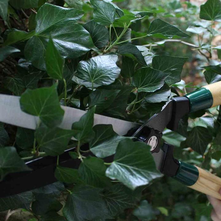 Immagine prodotto Siena Garden Tagliasiepi con taglio dell'albero (Tosasiepi)
