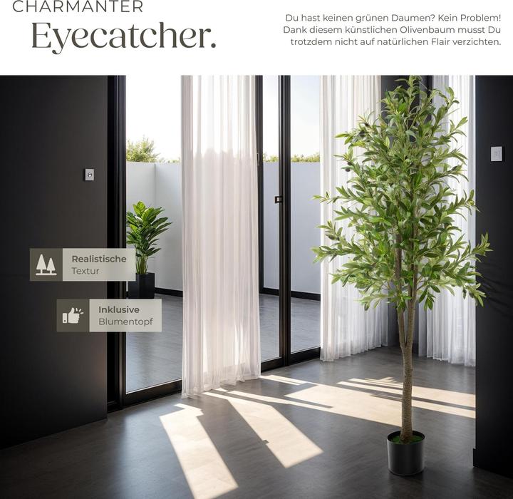 Produktbild tectake Olivenbaum Oleand (180 cm)