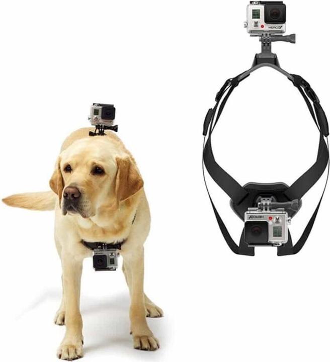 Immagine prodotto Ueli Express Supporto per cani GoPro (1, 3, 4, 9, SJ4000, Sessione eroe, GoPro Hero 11)