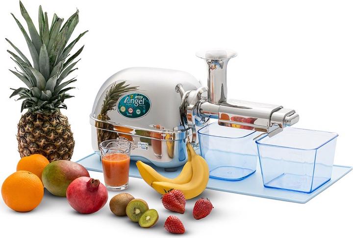 Actual product image Angel Juicers Angel 7500
