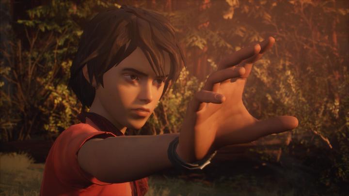 Image du produit Square Enix Life is Strange 2 PS4 (PS4, DE)